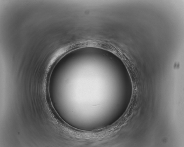 X0000096180006200801251227