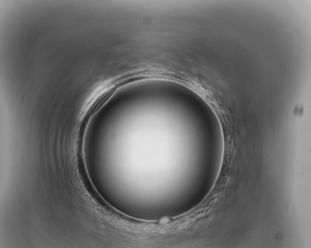 X0000096180007200801251227