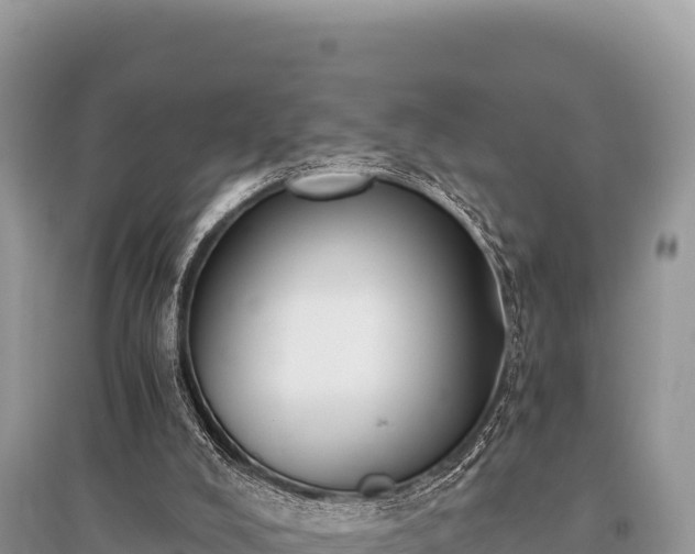 X0000096180008200801251227