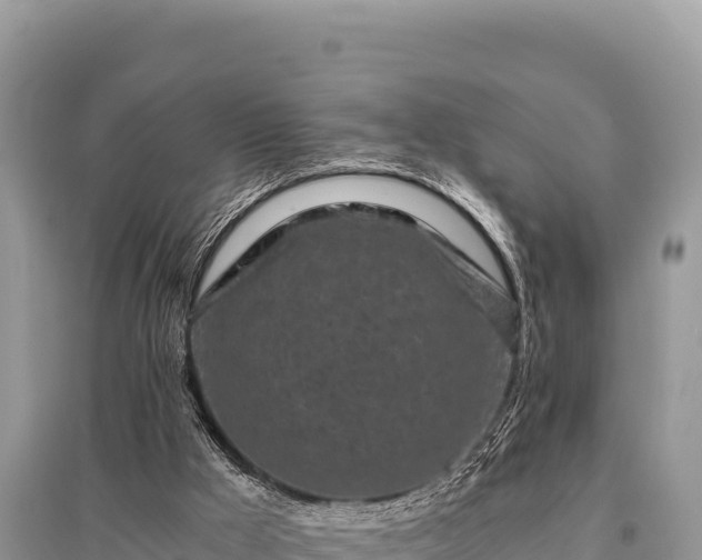 X0000096180009200801251227