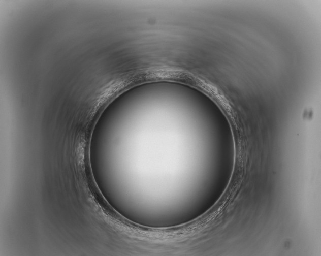 X0000096180010200801251227