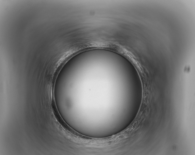X0000096180011200801251227