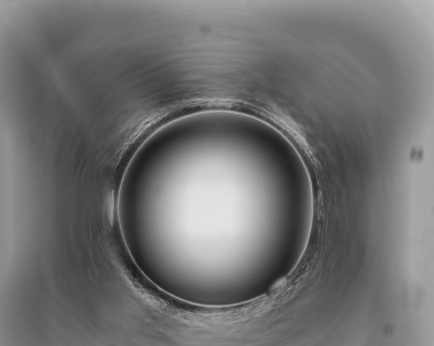 X0000096180013200801251227