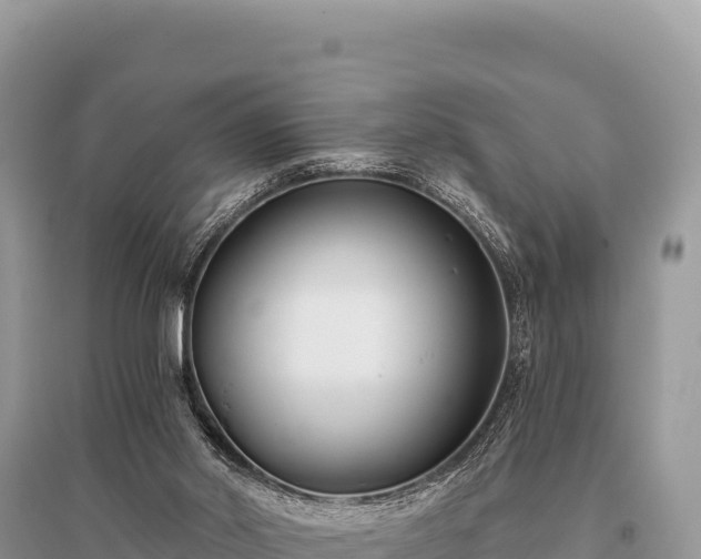 X0000096180014200801251227