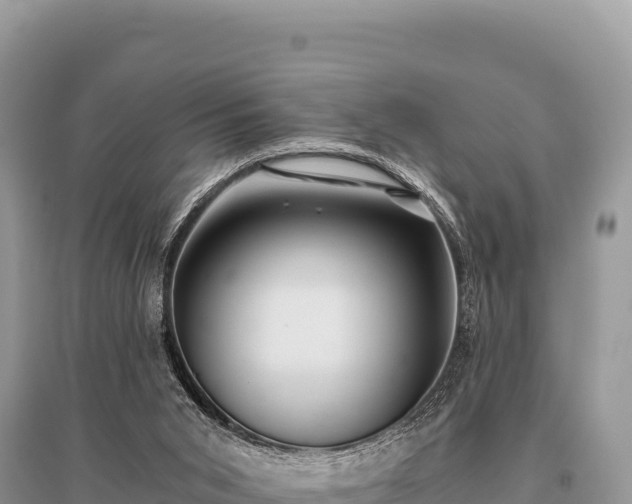 X0000096180015200801251227