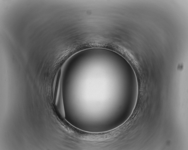 X0000096180017200801251227