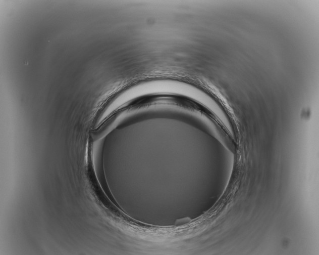 X0000096180019200801251227