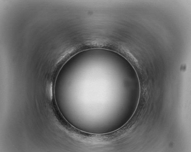 X0000096180020200801251227