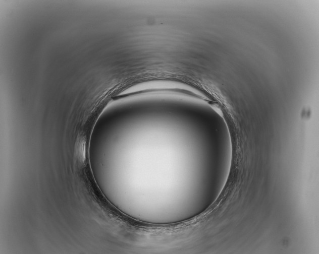 X0000096180021200801251227