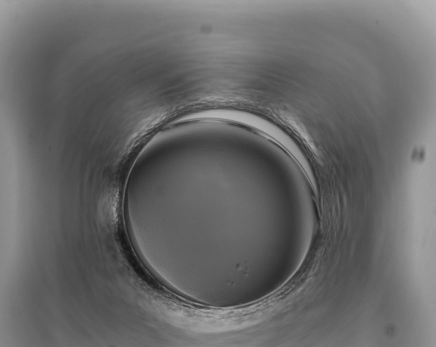 X0000096180023200801251227