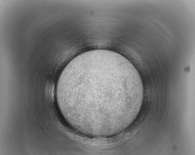 X0000096180024200801251227