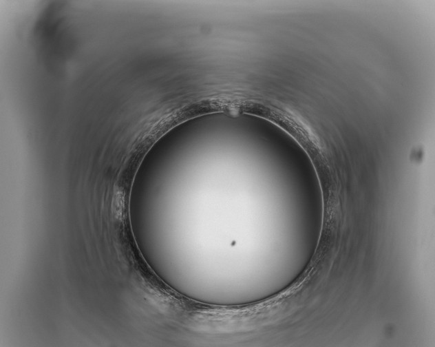 X0000096180025200801251227
