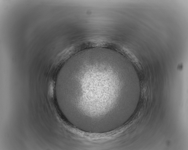 X0000096180026200801251227