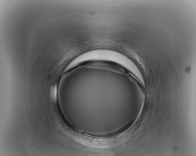 X0000096180027200801251227