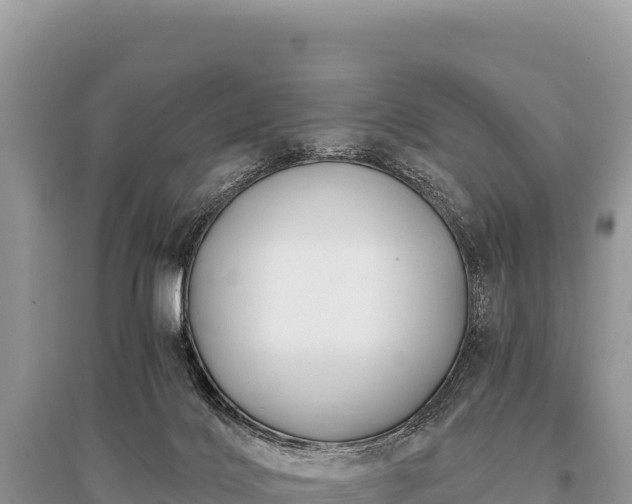 X0000096180028200801251227