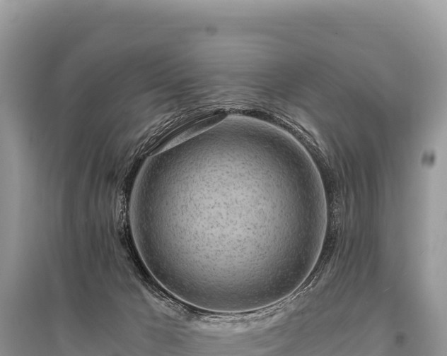 X0000096180029200801251227