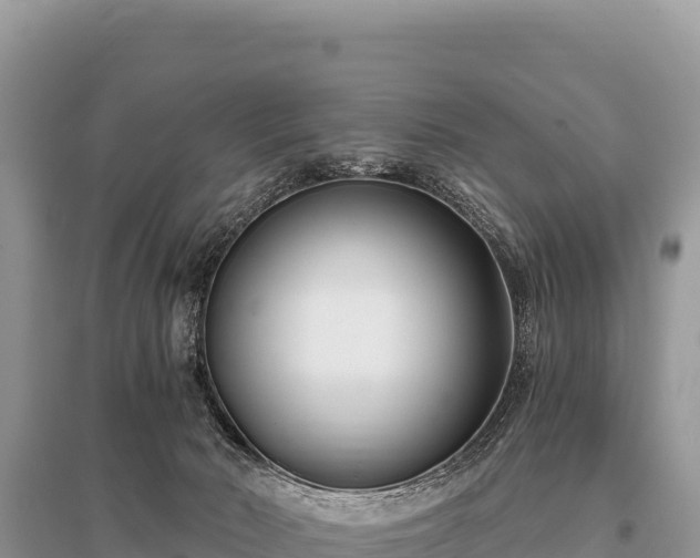 X0000096180030200801251227