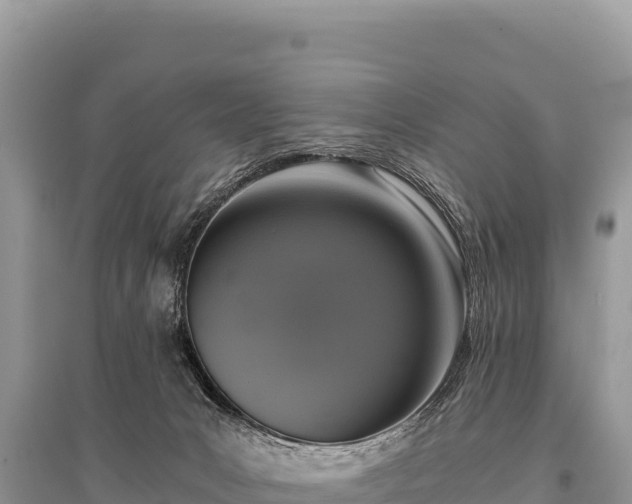 X0000096180031200801251227