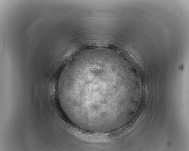 X0000096180032200801251227