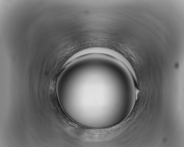 X0000096180033200801251227