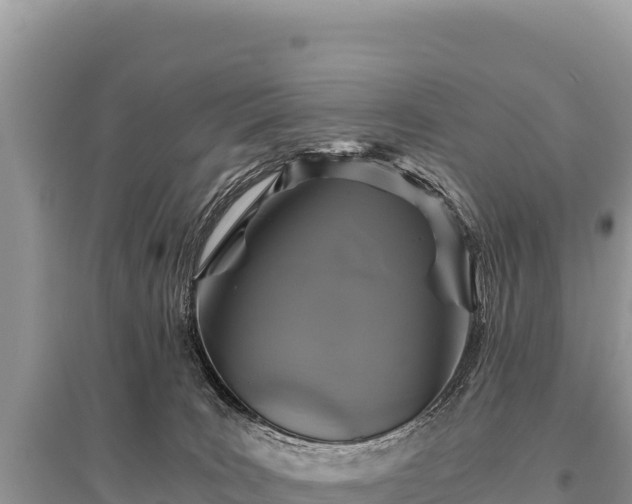 X0000096180035200801251227
