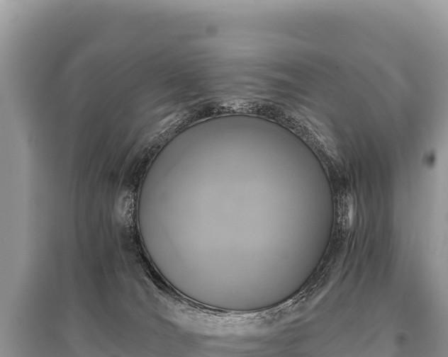X0000096180036200801251227