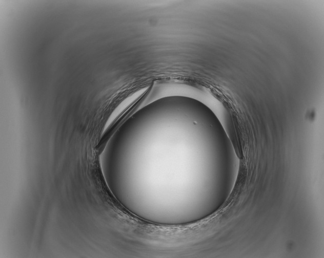 X0000096180037200801251226