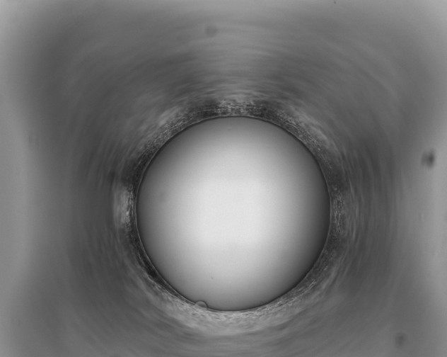 X0000096180038200801251226