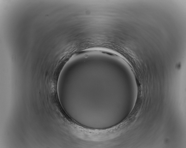 X0000096180039200801251226