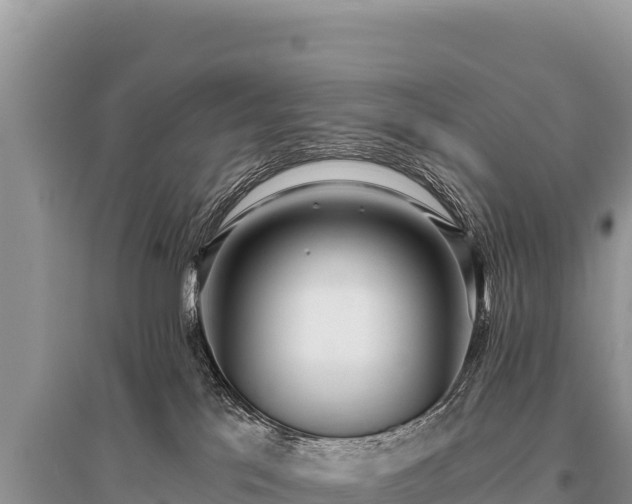 X0000096180041200801251226
