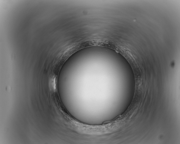 X0000096180042200801251226
