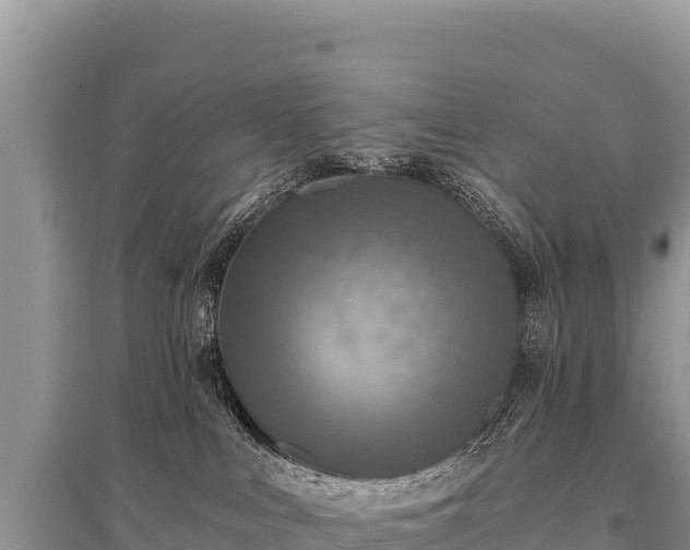 X0000096180043200801251226
