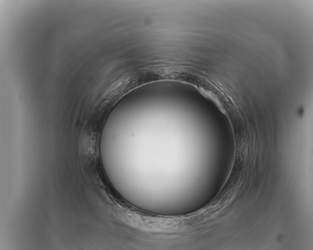 X0000096180044200801251226