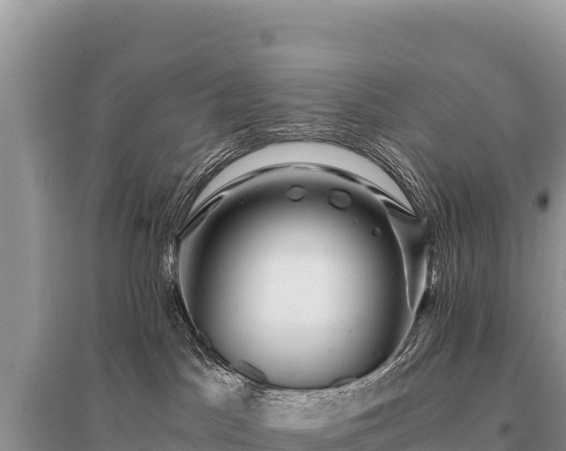 X0000096180045200801251226