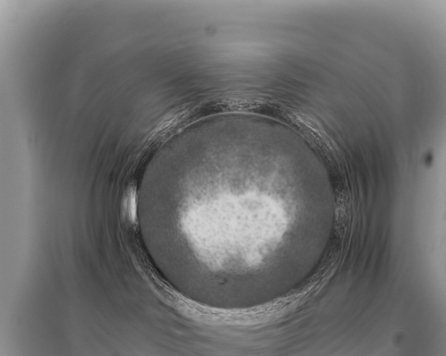 X0000096180046200801251226