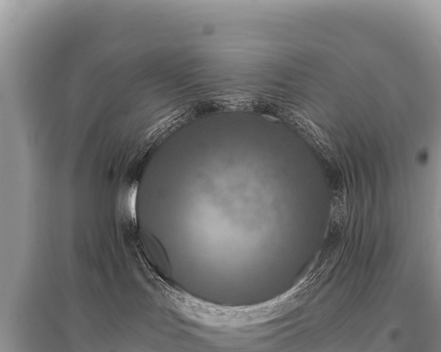 X0000096180047200801251226