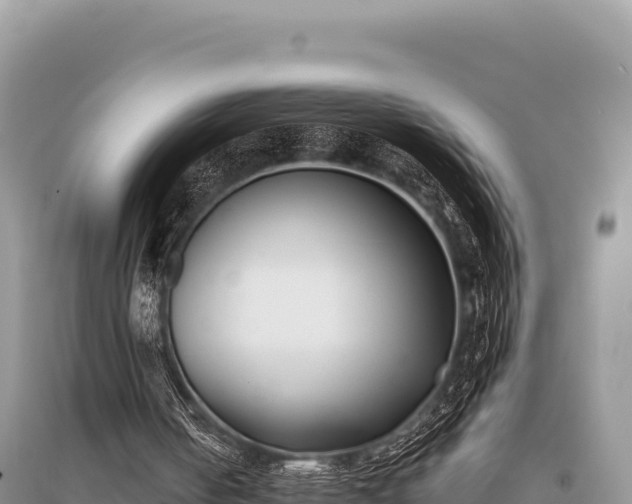 X0000096180050200801251226