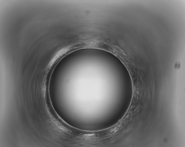X0000096180054200801251226