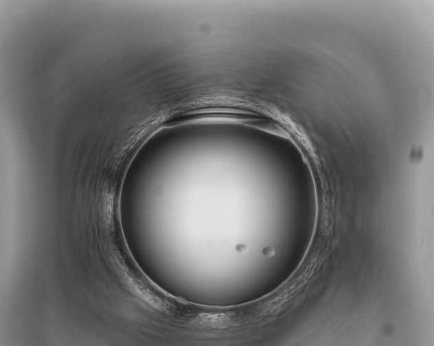 X0000096180057200801251226