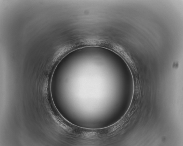 X0000096180058200801251226