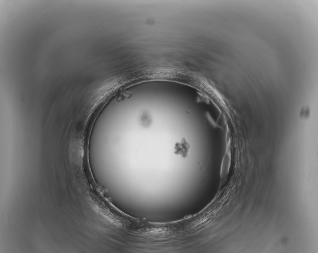 X0000096180059200801251226