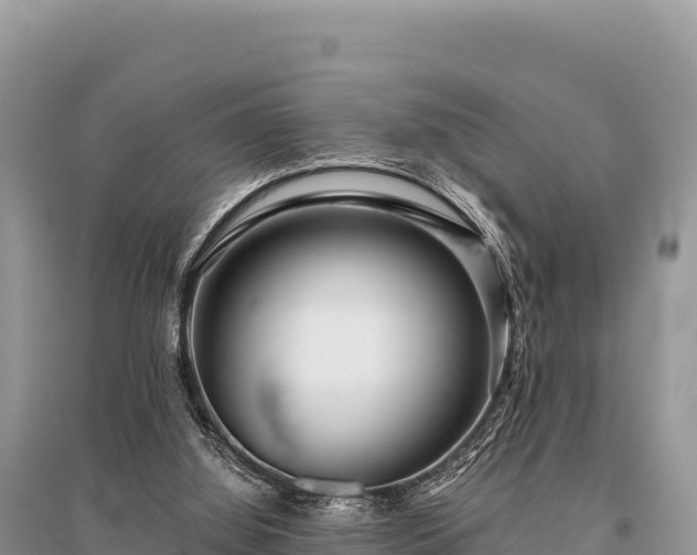 X0000096180060200801251226