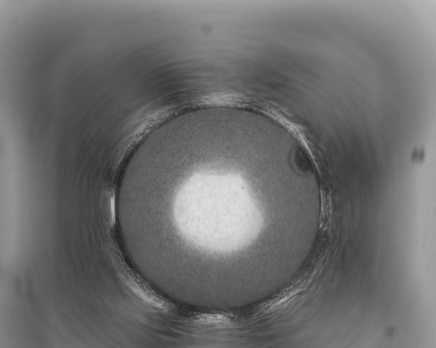 X0000096180061200801251226