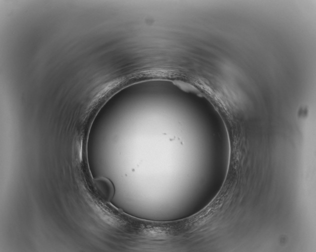 X0000096180062200801251226