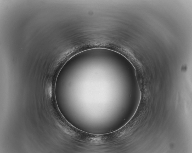 X0000096180068200801251226