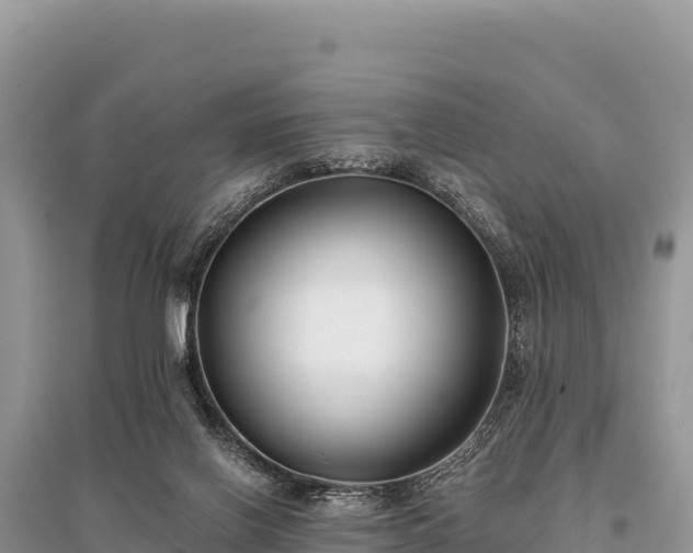 X0000096180070200801251226