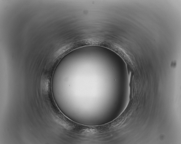 X0000096180071200801251226