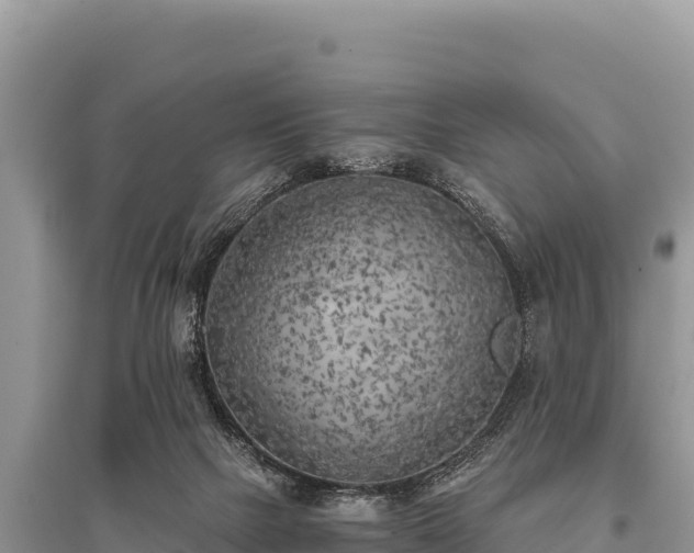 X0000096180073200801251226