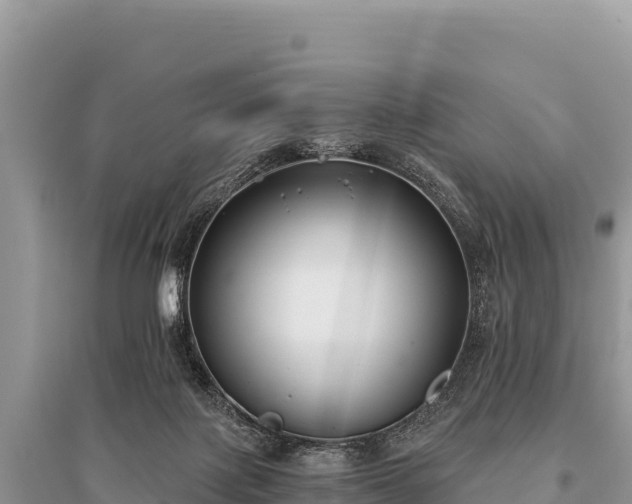 X0000096180075200801251226