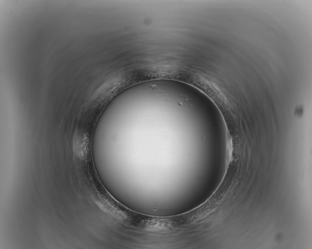 X0000096180077200801251226